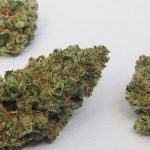 hybrid strains and its medical effects