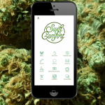 Cannabis Delivery Service004